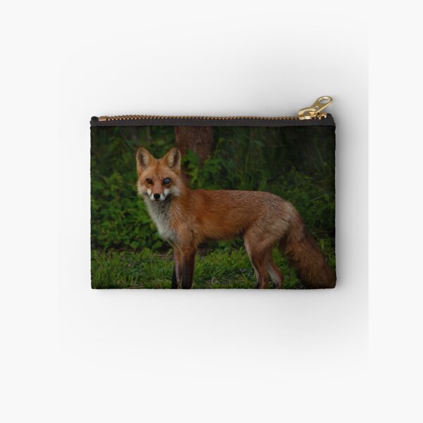 Item preview, Battle-Eyed Red Fox designed and sold by George Conover.