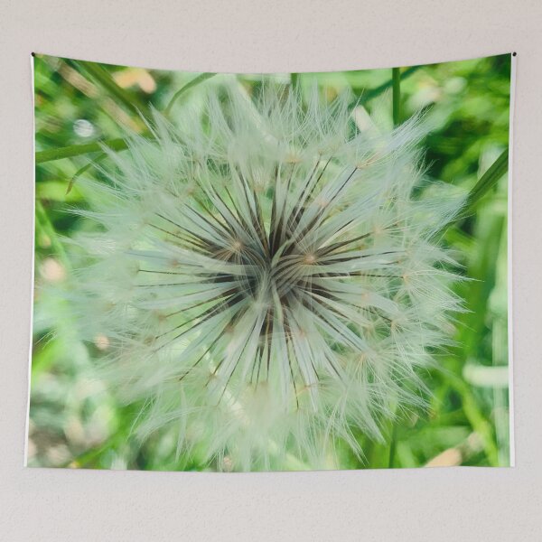 Item preview, Dandelion goats beard  designed and sold by baksuart.
