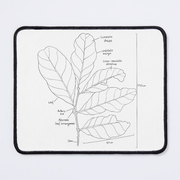 Item preview, Leaf Sample D designed and sold by angwi.