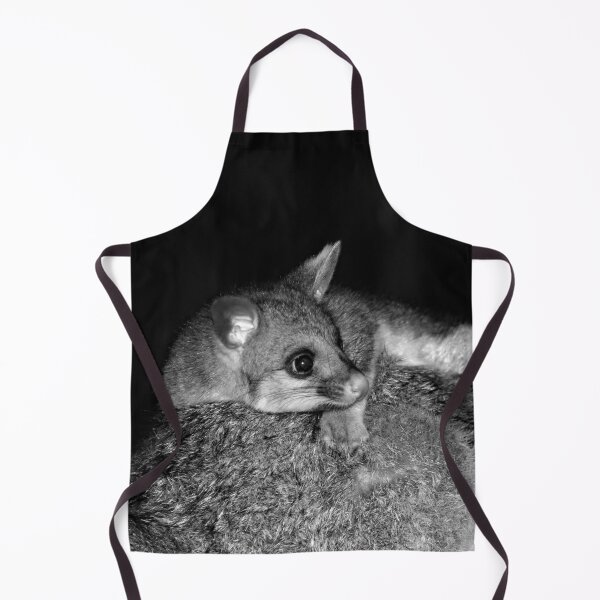 Item preview, © Australian brushtail possum, young designed and sold by GeoPipics.