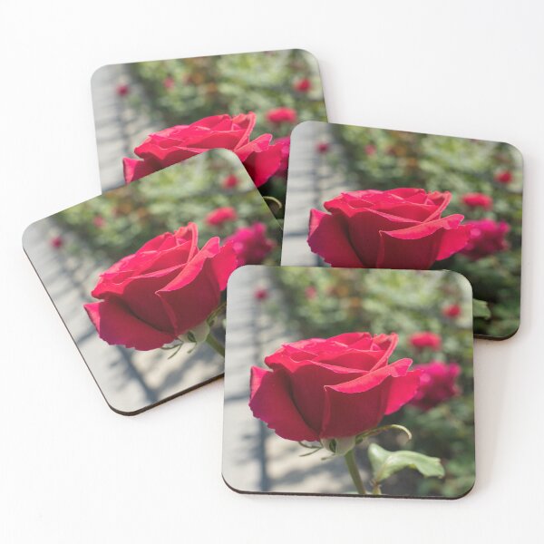 Item preview, Vibrantly Red Rose Bloom About to Open designed and sold by Georgia Mizuleva.