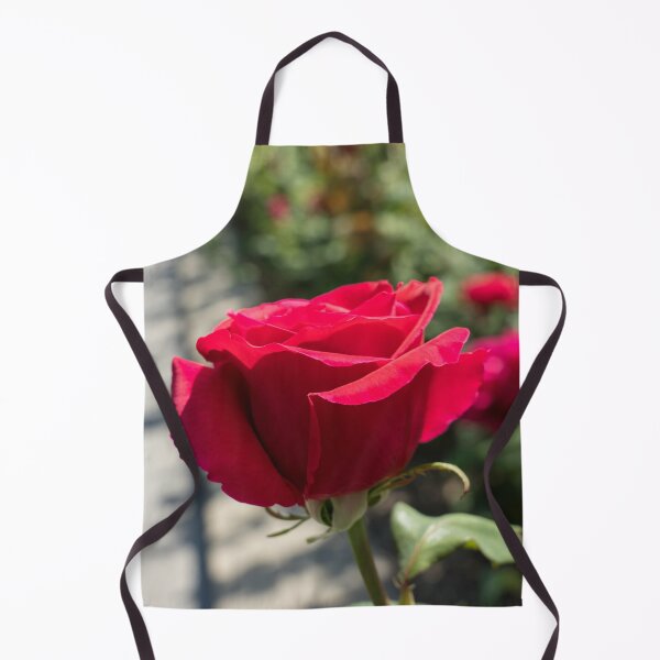 Item preview, Vibrantly Red Rose Bloom About to Open designed and sold by Georgia Mizuleva.