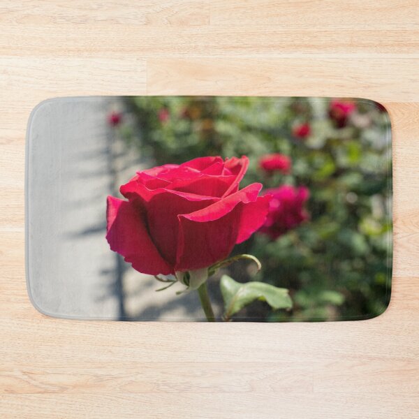 Item preview, Vibrantly Red Rose Bloom About to Open designed and sold by Georgia Mizuleva.