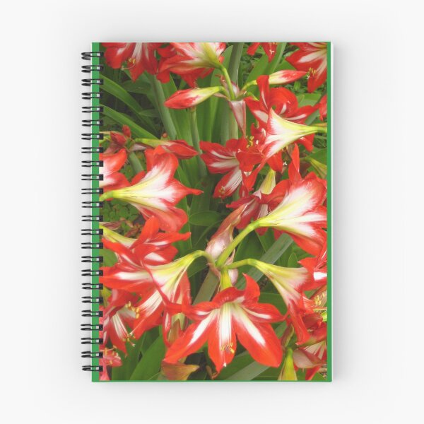 Item preview, Red and White Peppermint Amaryllis on Green designed and sold by JoyousArt4u.