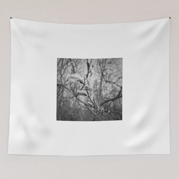 Item preview, Pussy Willow Buds designed and sold by J Rier Photography.