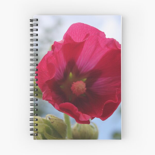 Item preview, Cerise pink hollyhock flower designed and sold by Emma  Amies.