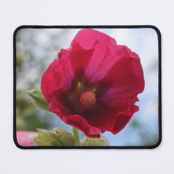 Item preview, Cerise pink hollyhock flower designed and sold by Emma  Amies.
