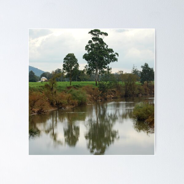 Vista previa del artículo con la obra «Río Paterson NSW Australia», diseñado y vendido por Bev Woodman.