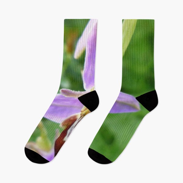 Item preview, Bee Orchid  designed and sold by amanda150771.