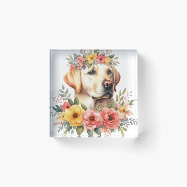 Aperçu de l'œuvre Yellow Lab créée et vendue par erkinmaddison.