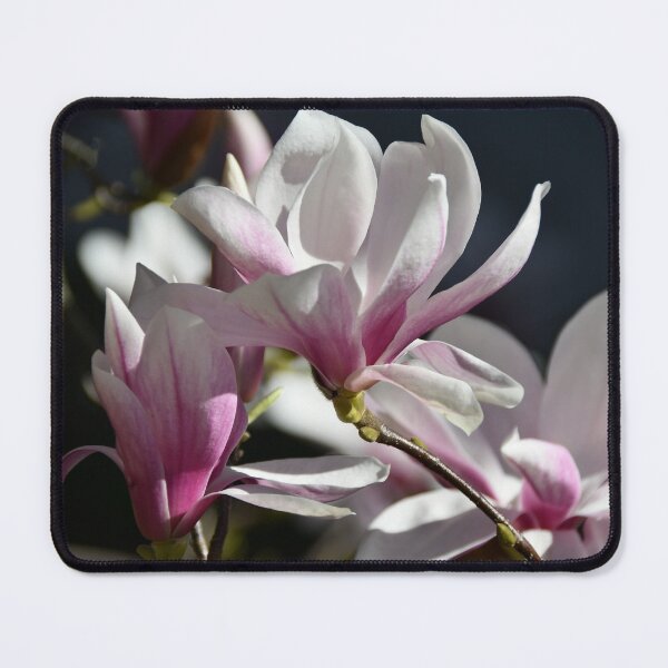 Item preview, Magnolias..... designed and sold by Poete100.