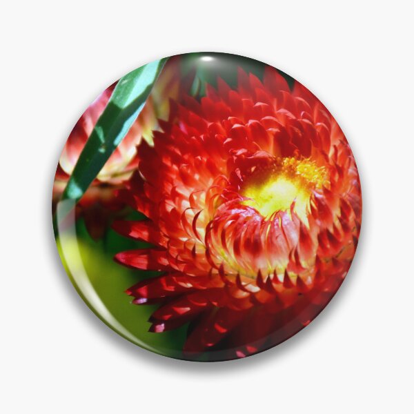 Item preview, Red Strawflower designed and sold by MercerImages.