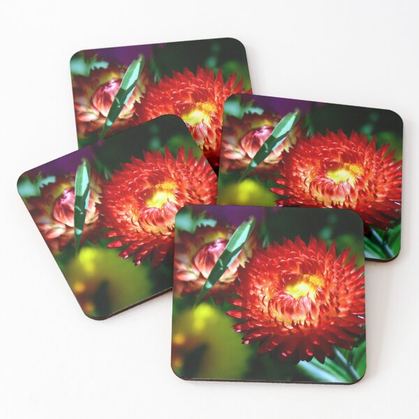 Item preview, Red Strawflower designed and sold by MercerImages.