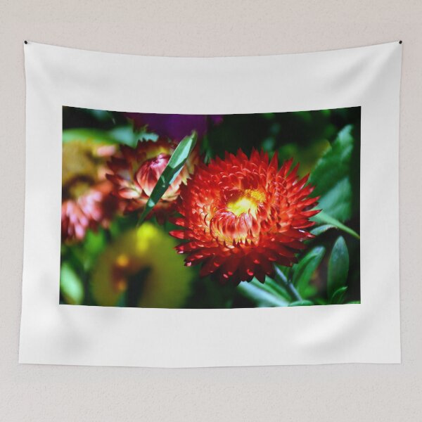 Item preview, Red Strawflower designed and sold by MercerImages.