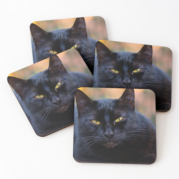 Item preview, Black cat designed and sold by Photopat.