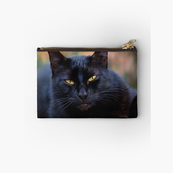 Item preview, Black cat designed and sold by Photopat.