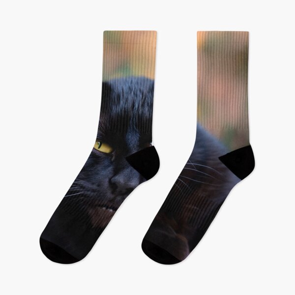 Item preview, Black cat designed and sold by Photopat.