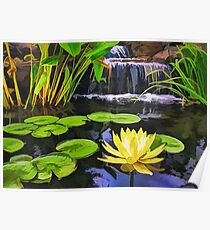 Lily pads and Flower Poster