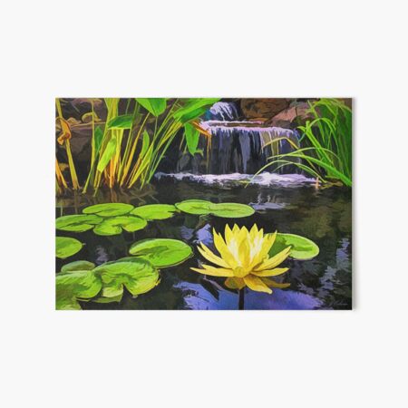 Lily Pad Wall Art Redbubble