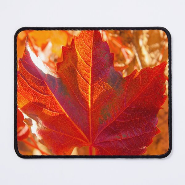 Item preview, fall in Zamora designed and sold by Tereza Pilar  Art.