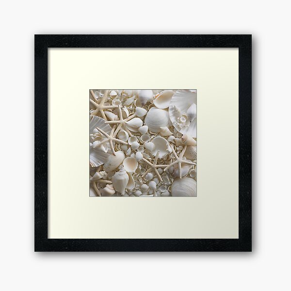 Item preview, Selection of sea shells and star fish (F012/1132) designed and sold by SciencePhoto.