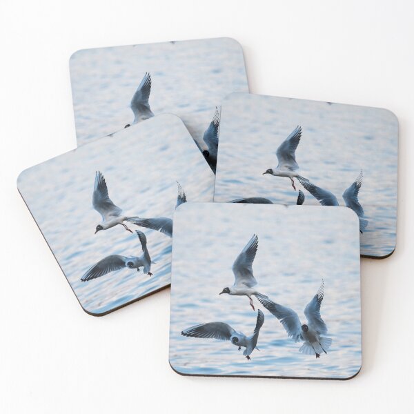 Item preview, Seagulls at the lake designed and sold by OskiOnTour.