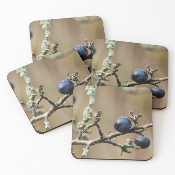 Item preview, Blackthorn Sloes Nature Lovers Inch Island Donegal designed and sold by eddiebarronshop.