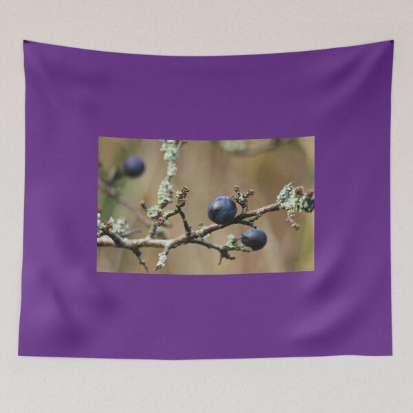 Item preview, Blackthorn Sloes Nature Lovers Inch Island Donegal designed and sold by eddiebarronshop.