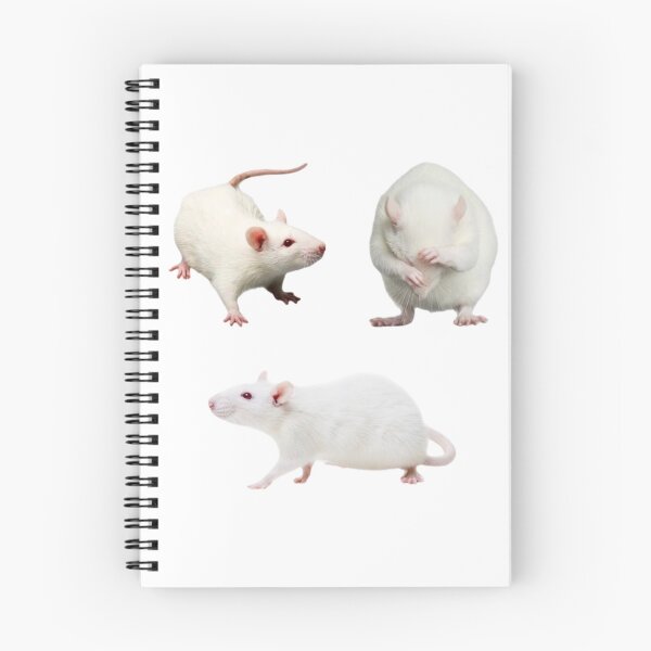 Item preview, Cute Creepy Rat Aesthetic Sticker Pack designed and sold by skullcore.