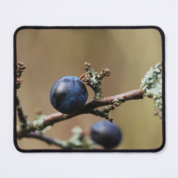 Item preview, Sloe of the Blackthorn Nature Lovers designed and sold by eddiebarronshop.