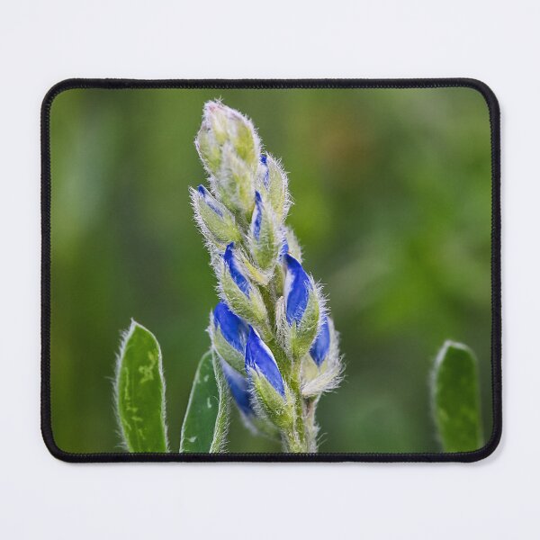 Item preview, The Budding Bluebonnet designed and sold by anchorsofhope.