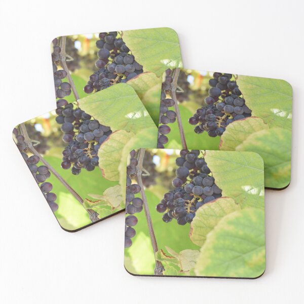 Item preview, Black grapes on a vine, Greece designed and sold by CatherineMoore4.