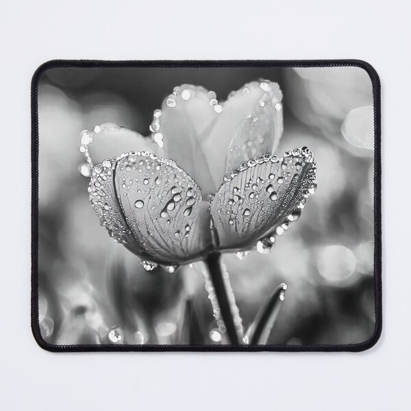 Item preview, Flower designed and sold by Jean-François Dupuis.