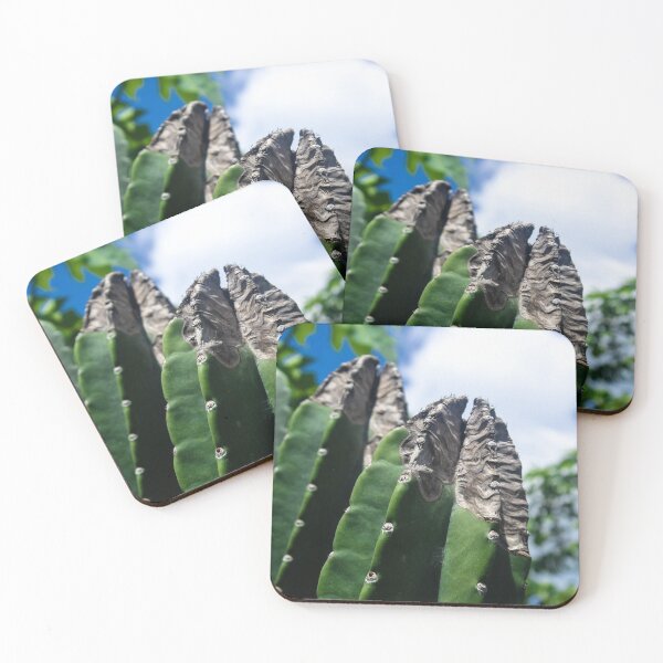 Item preview, outdoor cacti designed and sold by felipequeiroz.