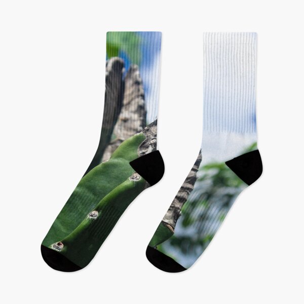 Item preview, outdoor cacti designed and sold by felipequeiroz.
