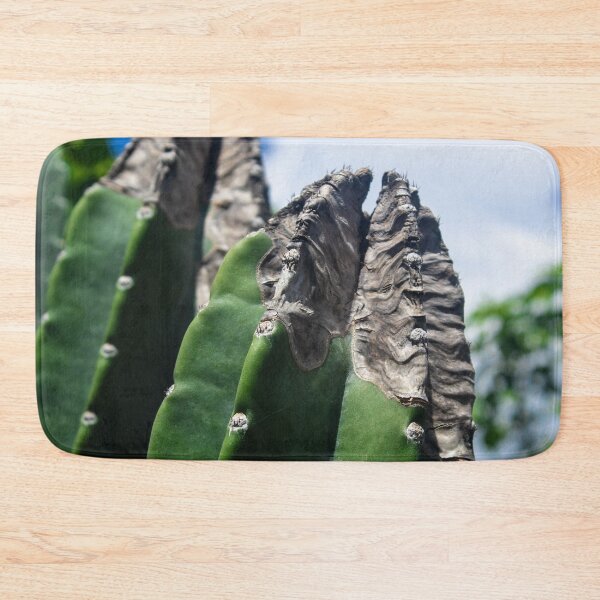 Item preview, outdoor cacti designed and sold by felipequeiroz.
