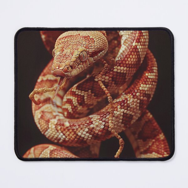Item preview, Snake Photography designed and sold by nomiraclehere.