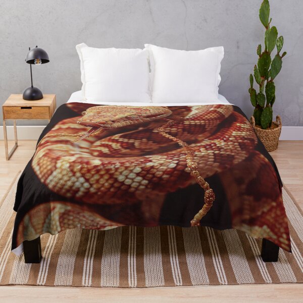 Item preview, Snake Photography designed and sold by nomiraclehere.