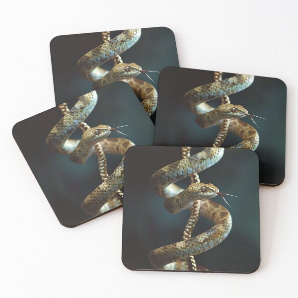 Item preview, Snake Photography designed and sold by nomiraclehere.
