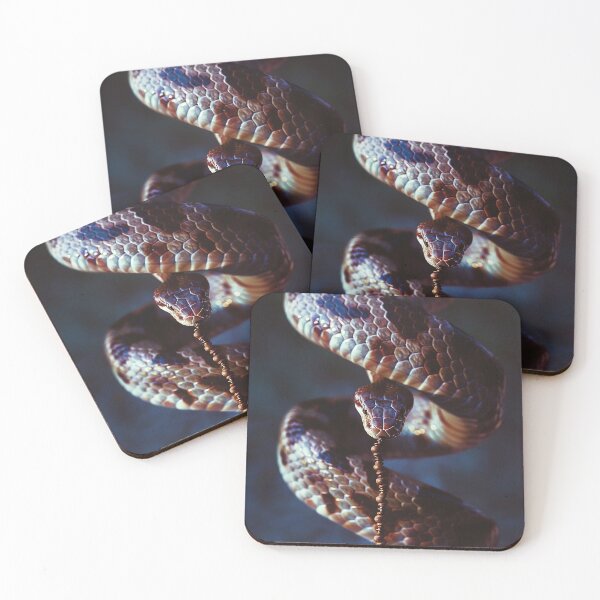 Item preview, Snake Photography designed and sold by nomiraclehere.