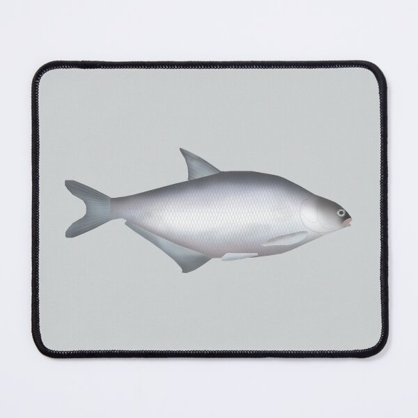 Item preview, White-eye Bream designed and sold by fishfolkart.