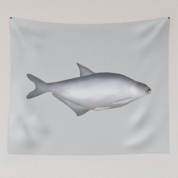 Item preview, White-eye Bream designed and sold by fishfolkart.