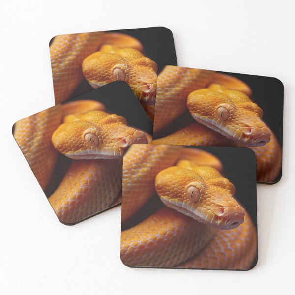 Item preview, Snake Photography designed and sold by nomiraclehere.