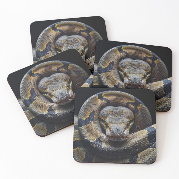Item preview, Snake Photography designed and sold by nomiraclehere.