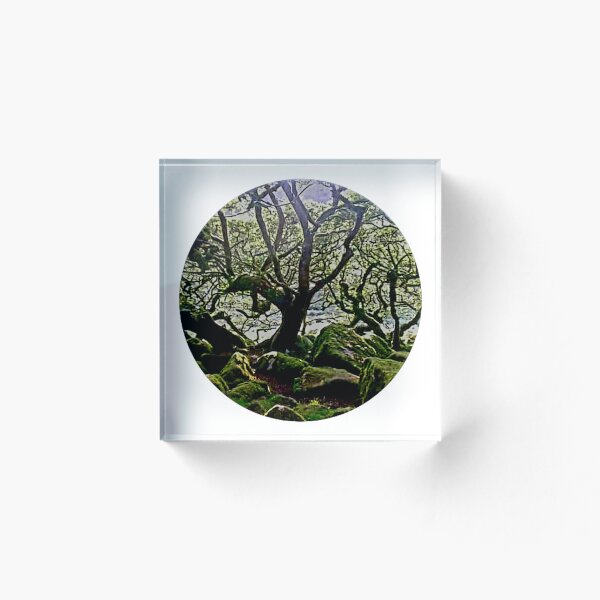 Item preview, An Oak Tree at Wistman Woods designed and sold by SolsticeMoonSP.