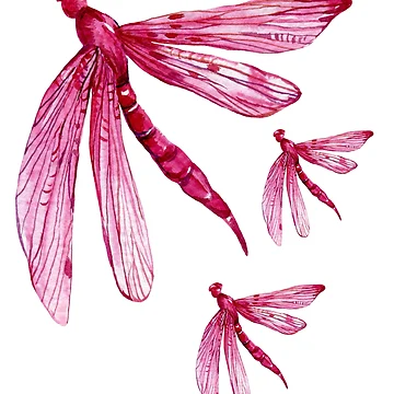 Artwork thumbnail, Raspberry Dragonfly Pattern by PatternCreators