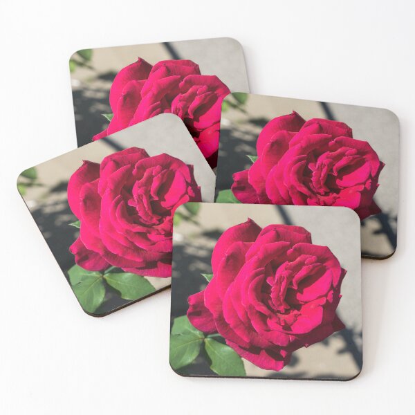 Item preview, In Full Bloom - Vibrant Fragrant Red Rose designed and sold by Georgia Mizuleva.
