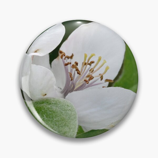 Item preview, quince flowers designed and sold by bagiolita.