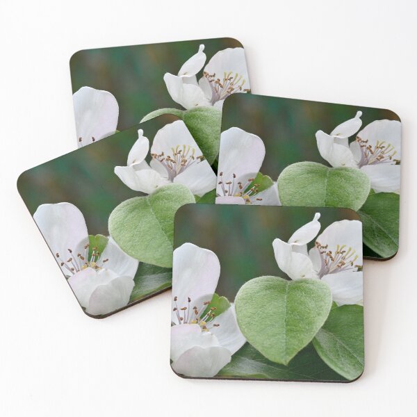 Item preview, quince flowers designed and sold by bagiolita.