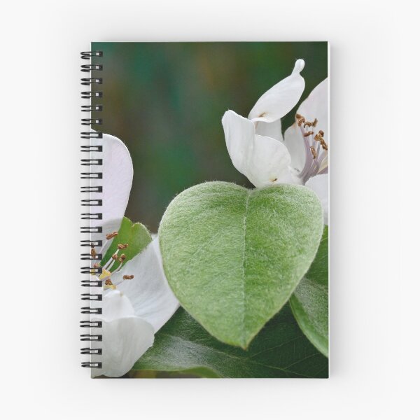 Item preview, quince flowers designed and sold by bagiolita.